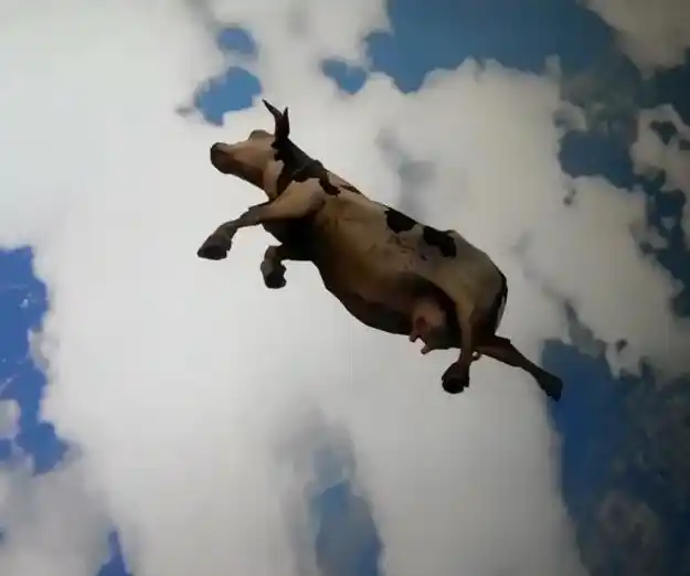 鬣蜥从树上掉下来 现象解释_食物从天而降_天使从天而降 事件真相