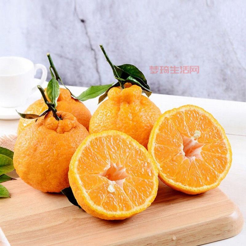 不知火是什么水果？跟普通橘子比有什么不一样？