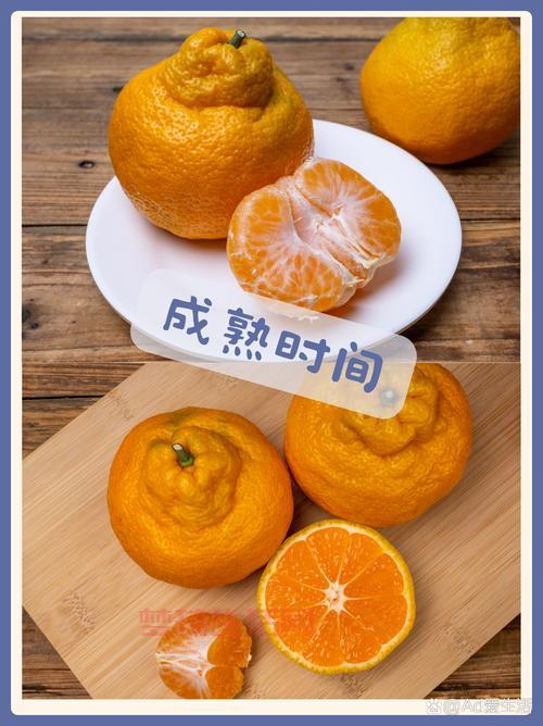 不知火是什么水果？跟普通橘子比有什么不一样？
