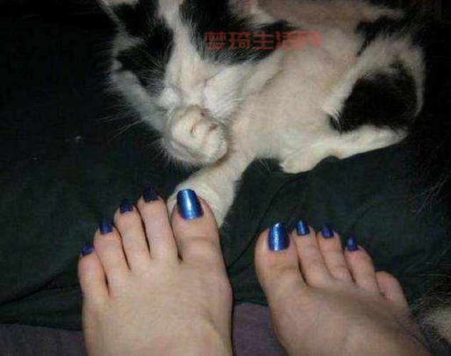 猫咪闻到臭脚后为什么会张开嘴？一文告诉你！