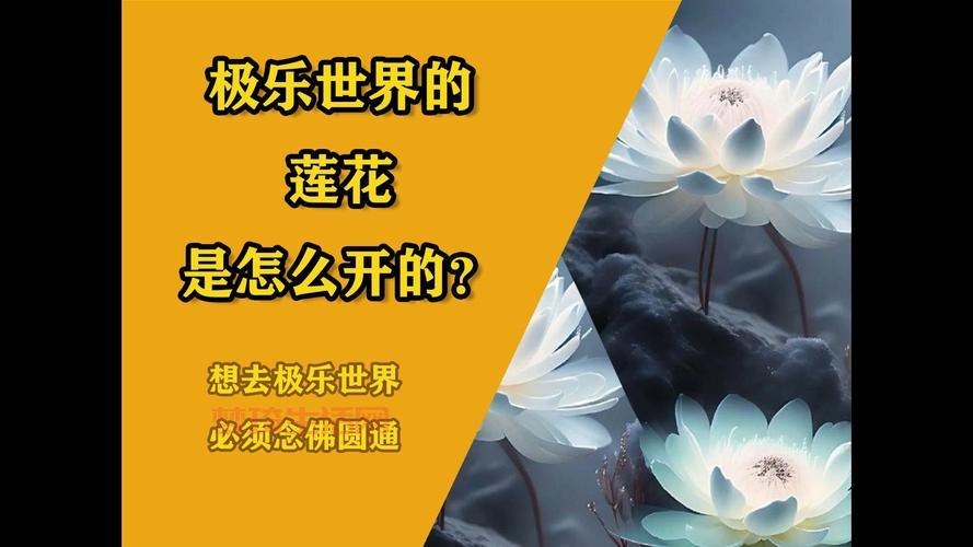 极乐世界到底有多好？这篇文章给你讲明白！