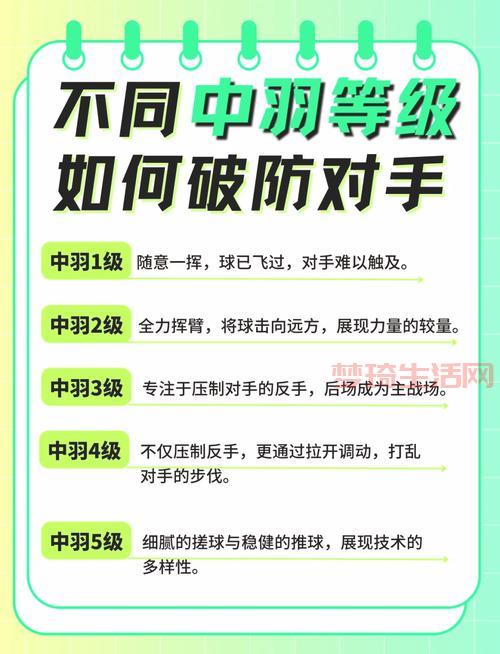 羽高怎么选？内行人教你如何挑选适合的羽高！