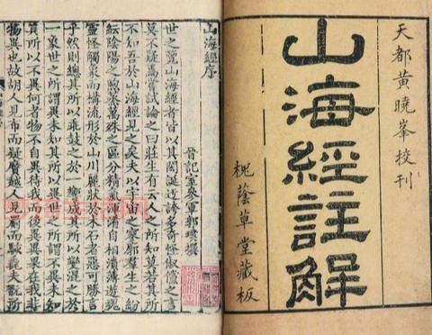 越久的灵芝越好？听听专家怎么分析！