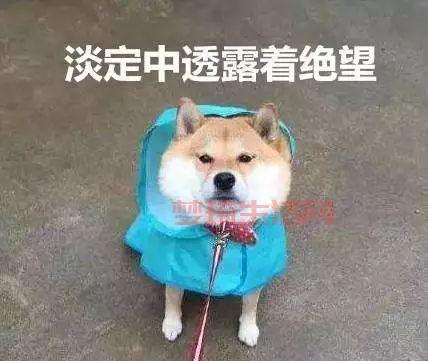 失望的反义词是什么？这篇文章给你答案！