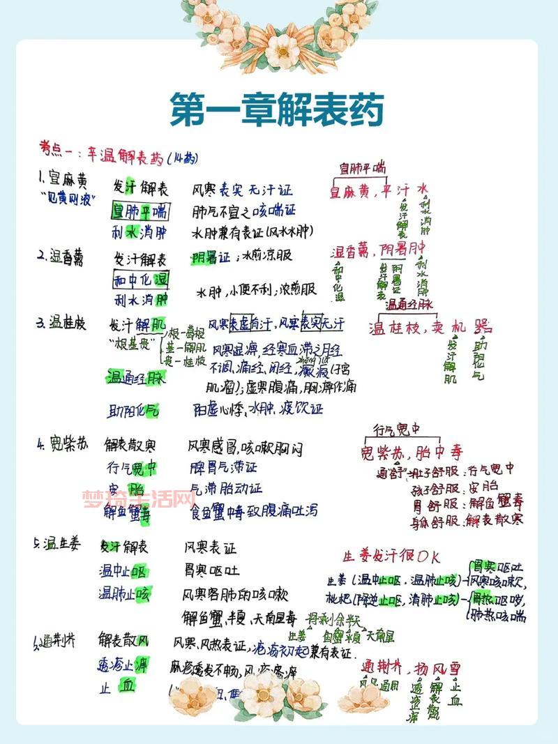 九阴真经药师配方攻略，让你成为一代神医！
