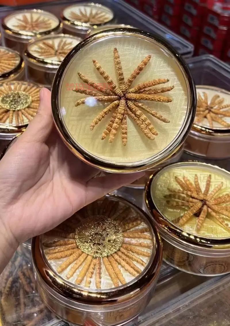 全虫怎么吃效果好？行内人教你正确食用方法！