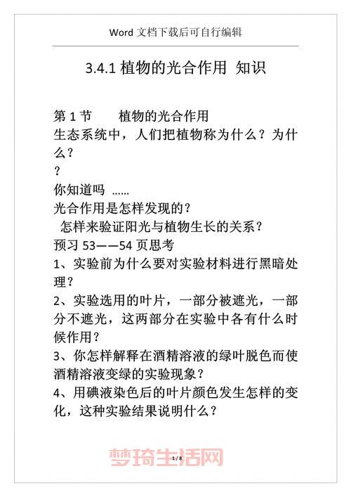 植物光合作用的过程是怎样的？小学生都能看懂的讲解！