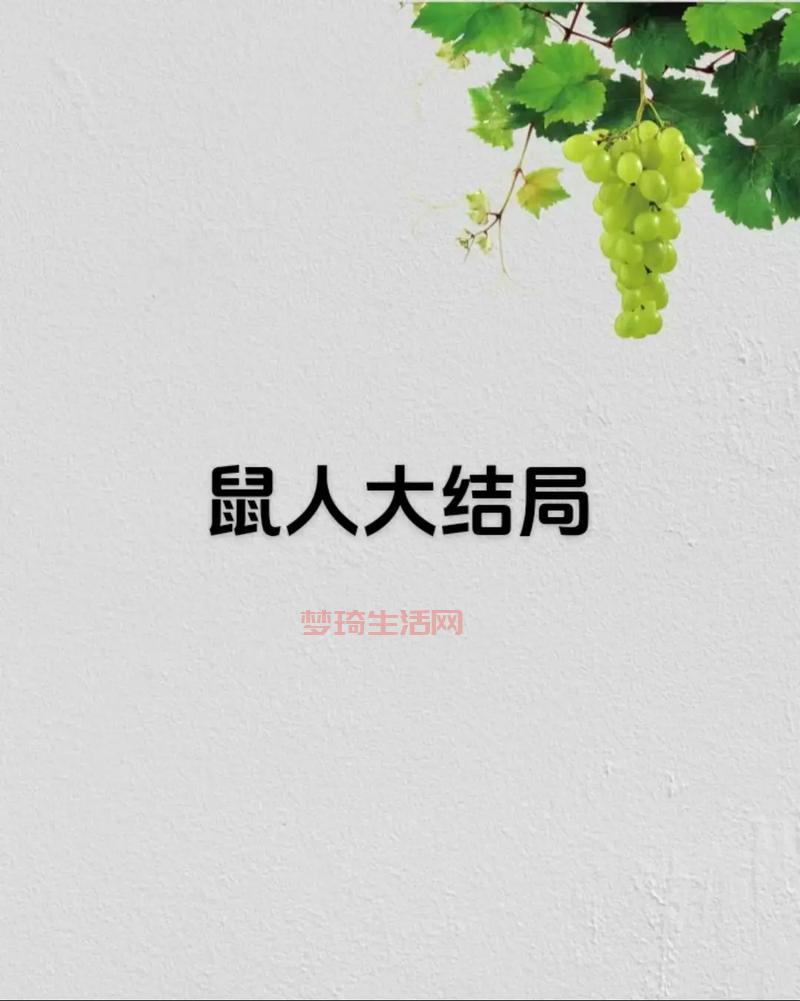 鼠人和打工人有什么区别？看完这篇你就懂了！