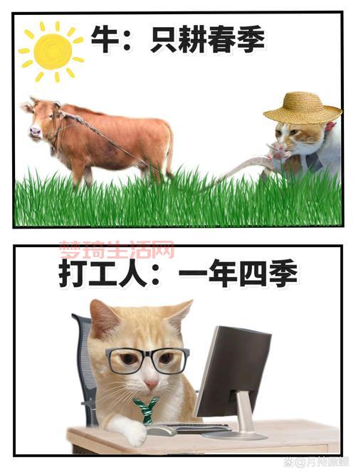 鼠人和打工人有什么区别？看完这篇你就懂了！