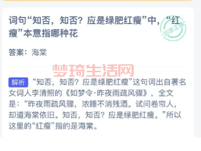 红瘦指的是哪种花？一篇文章带你了解红瘦！