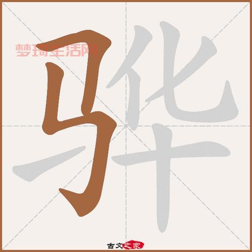 骅怎么读音？常见问题解答，手把手教你认对这个字！