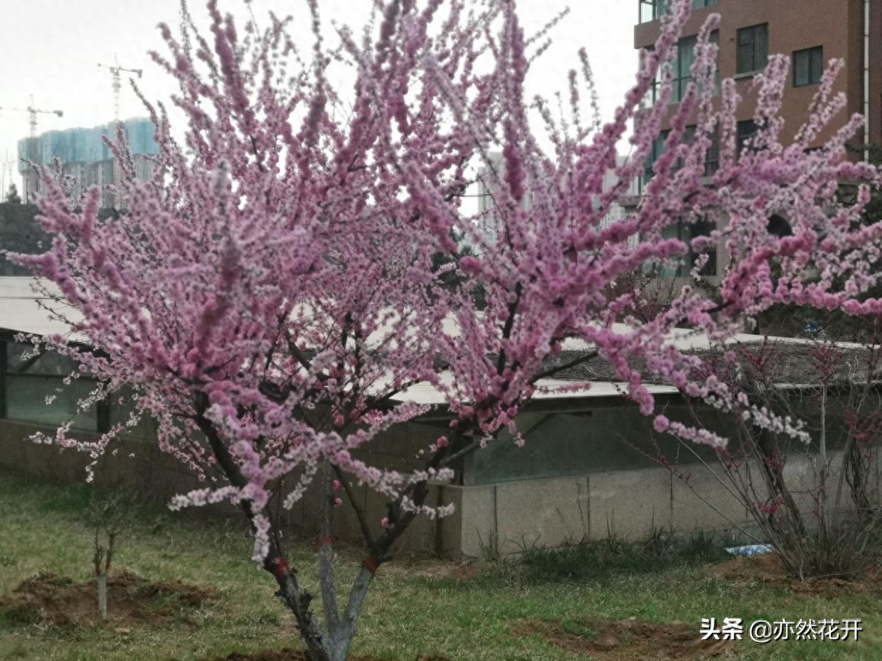 新闻用事实说话真实新简短生动_电视新闻稿怎么写_新闻定义特性分类结构