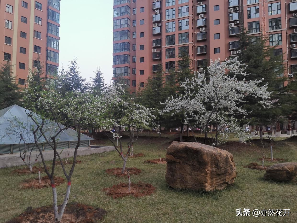 电视新闻稿怎么写_新闻定义特性分类结构_新闻用事实说话真实新简短生动