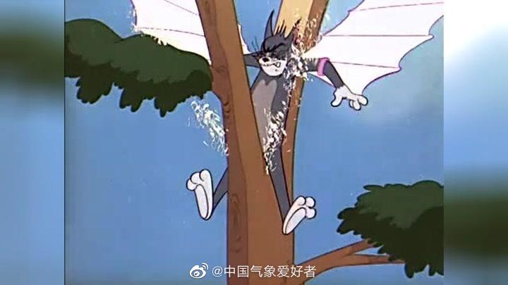 猫和老鼠现实场景_超轻贴土汤姆猫和老鼠_猫和老鼠动画梗现实版