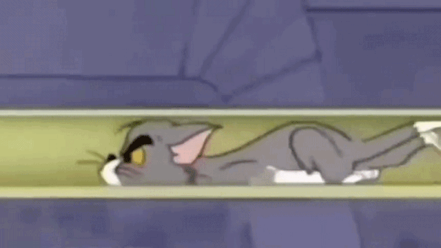 超轻贴土汤姆猫和老鼠_猫和老鼠动画梗现实版_猫和老鼠现实场景