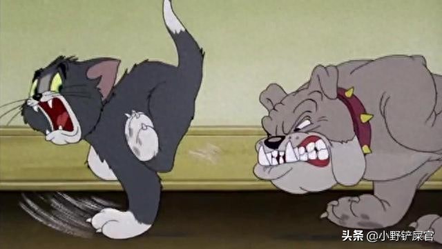 《猫和老鼠》里的狗是什么来头？“我很丑，而且我不温柔”