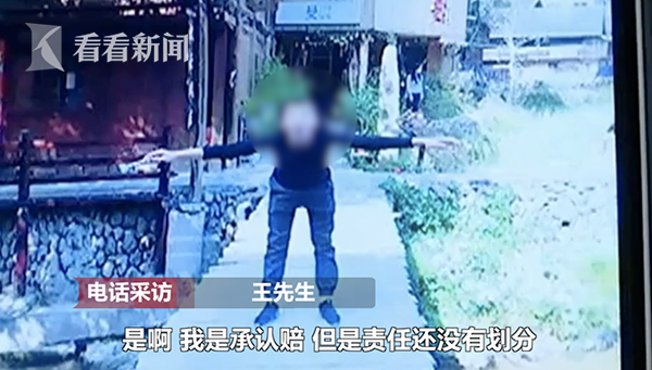 宠物医疗费用协商处理_贵阳狗被车撞伤保险赔偿_狗被车碾压因太胖毫发无损