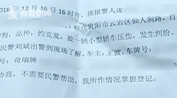 狗被车碾压因太胖毫发无损_贵阳狗被车撞伤保险赔偿_宠物医疗费用协商处理