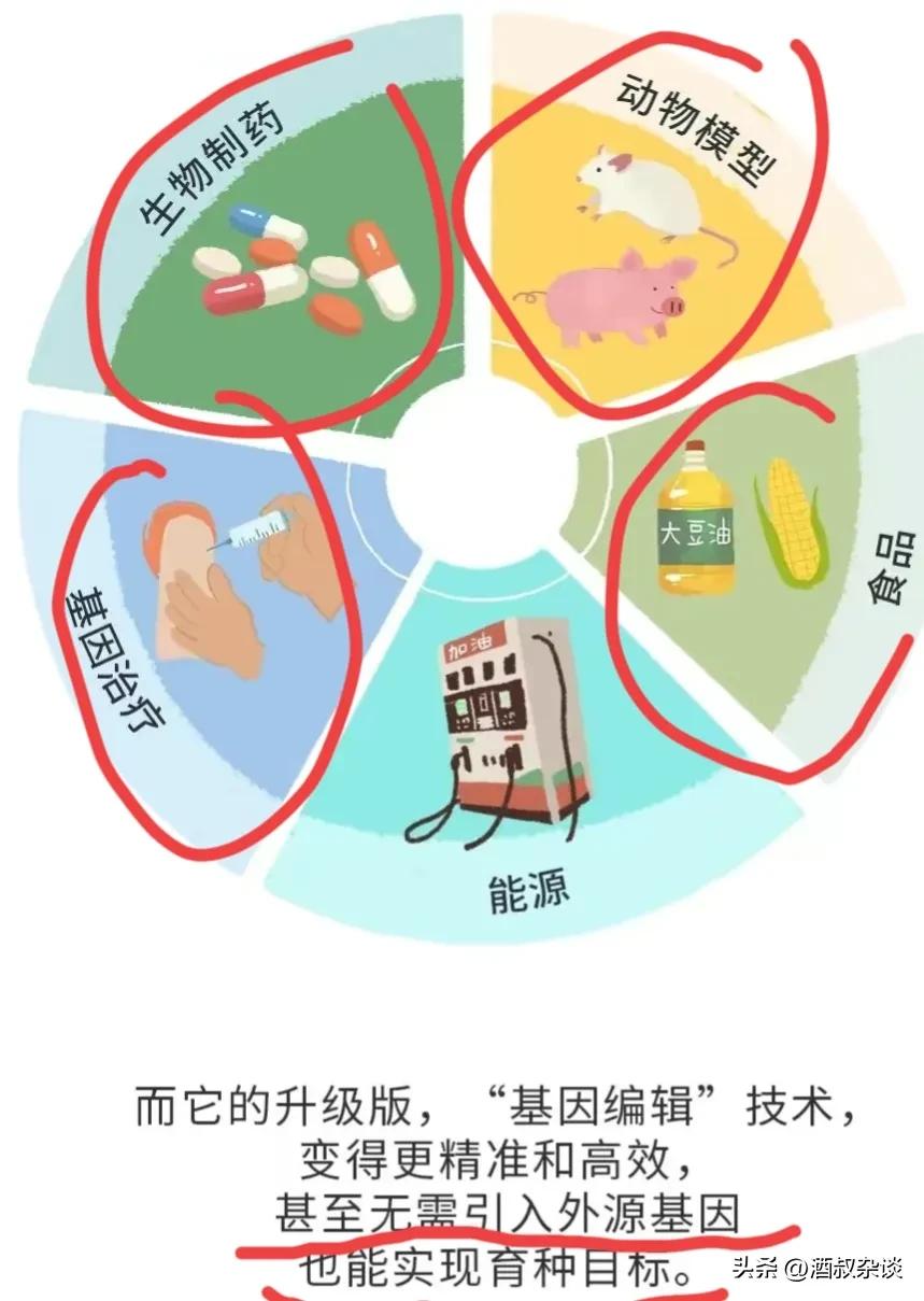 转基因技术在中国应用_转基因农业发展_转基因文章没有表型