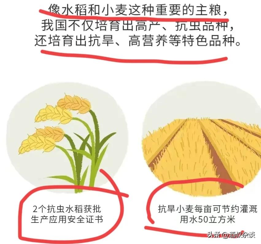 转基因文章没有表型_转基因农业发展_转基因技术在中国应用