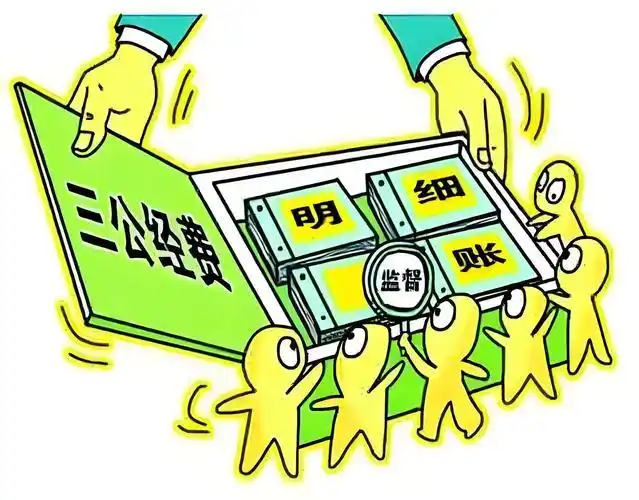 三公经费问题及监管：现状与对策分析