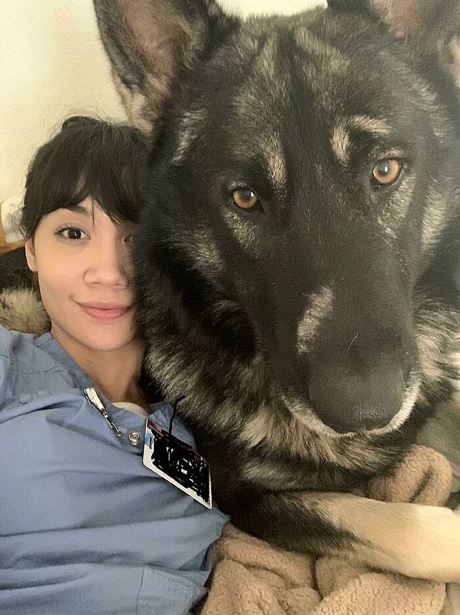 大型犬反差萌表现_超级大狗的图片大全集_大型犬体型特点