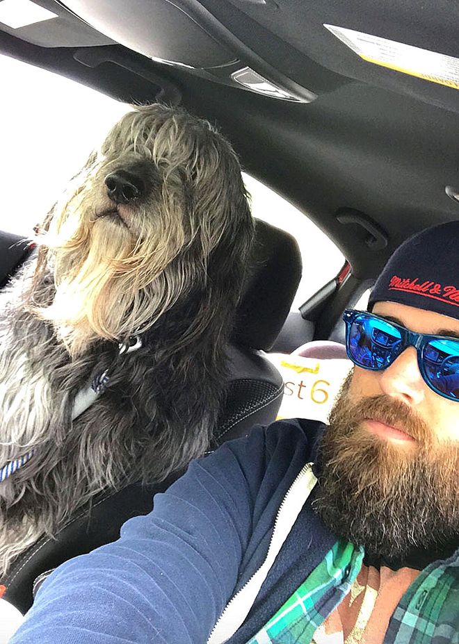 大型犬反差萌表现_超级大狗的图片大全集_大型犬体型特点