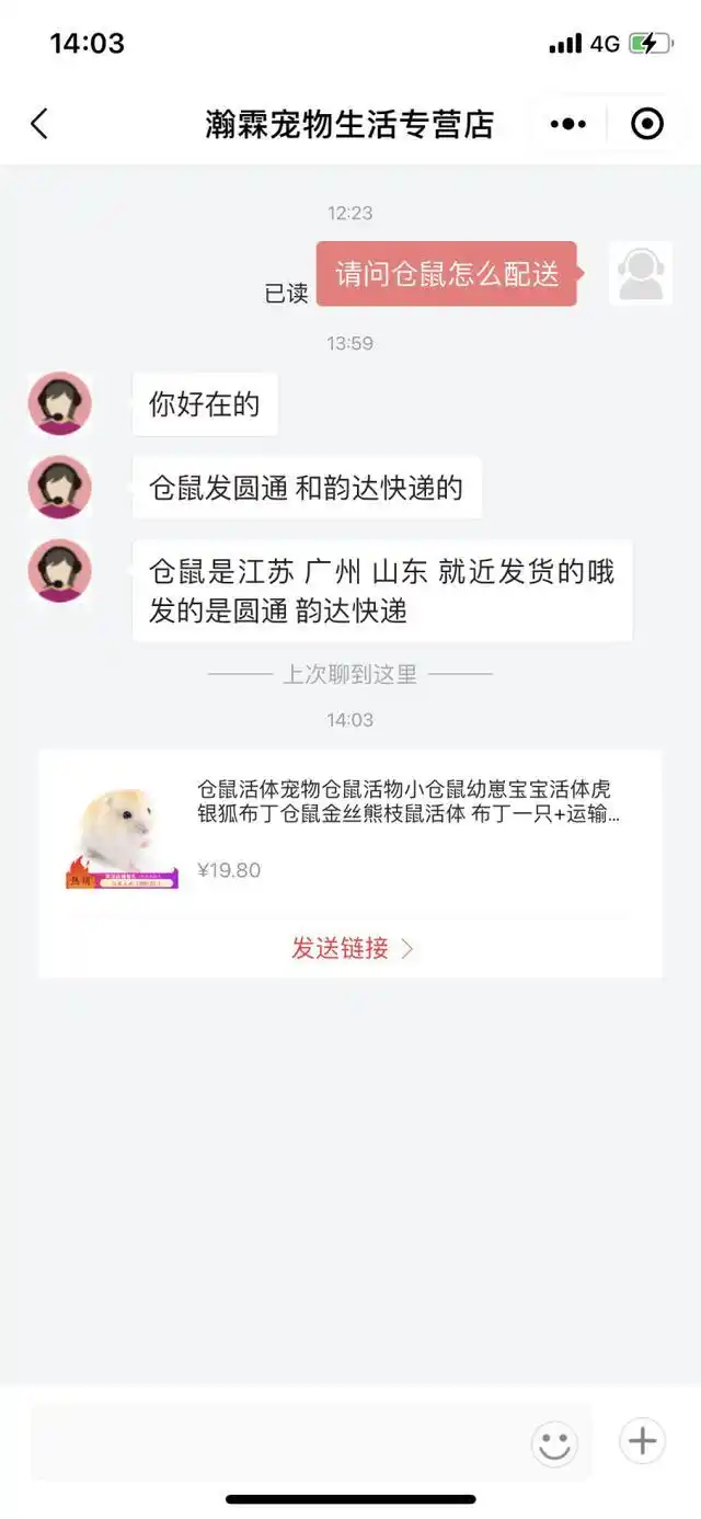 男子将猫关进快递柜转身就走_宠物盲盒 活体快递 遗弃宠物领养