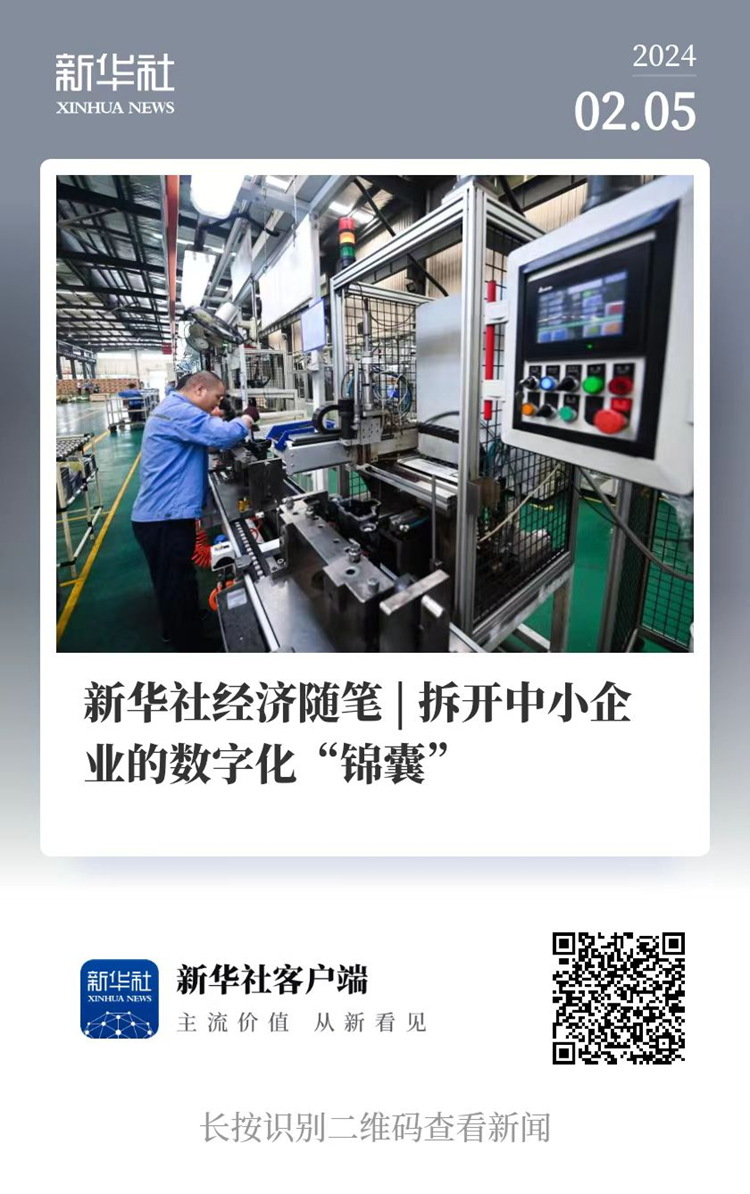 新华社电视台杨国强_中国经济微电影_新华社经济随笔