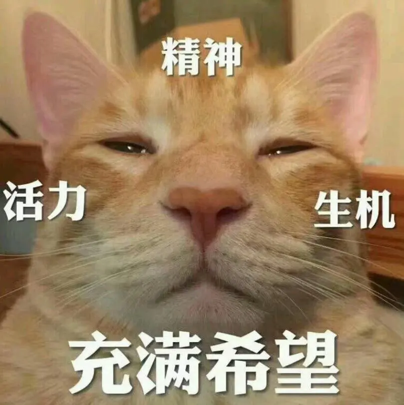 图 (6).jpg