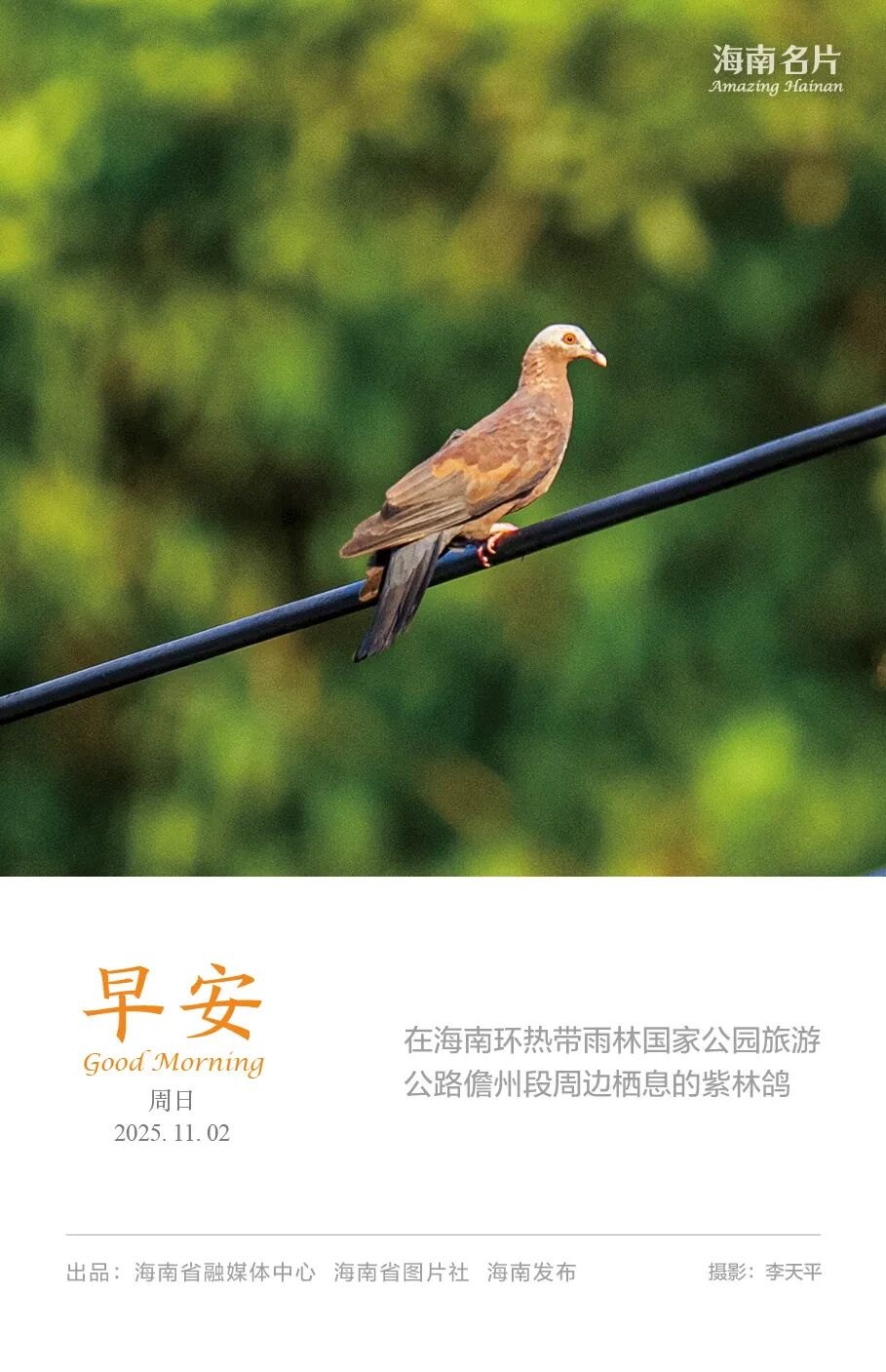 文昌航天科普中心试营业_海口市最近五天头条新闻_海南自贸港政策新闻