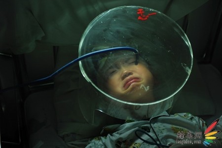 第18届中国新闻摄影金镜头比赛获奖作品大展