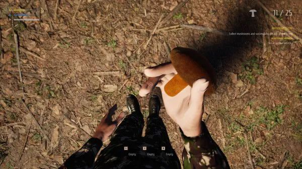 赛车游戏模拟_Steam模拟游戏节 爱好版 模拟器游戏