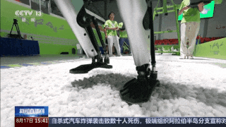 人形机器人技术发展_人形机器人为啥进步“神速”？_人形机器人应用场景