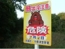 日本熊袭击事件_日本熊害死亡人数创新高_日本熊害应对措施