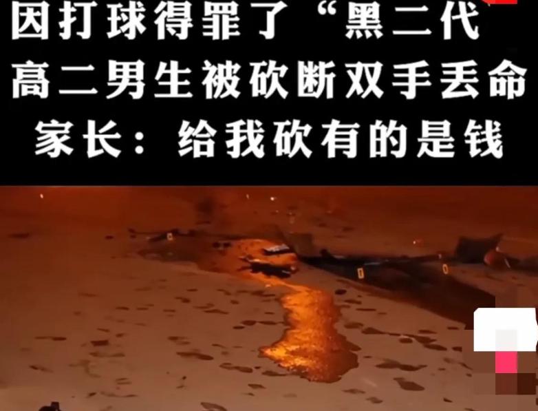 儿子被校霸欺负，家长喊来17名打手，将其砍断双手致使当场毙命！