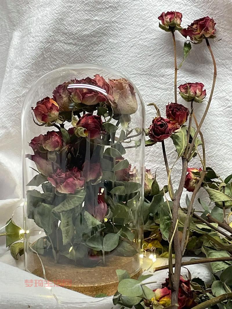 干花制作方法哪种好？不同花材的处理技巧分享！