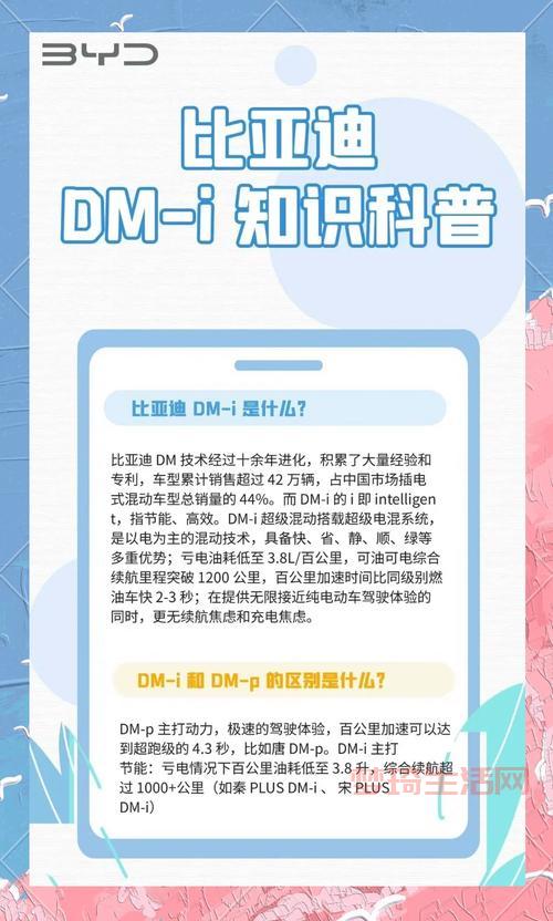 想知道dm是什么？这篇超详细dm科普别错过！