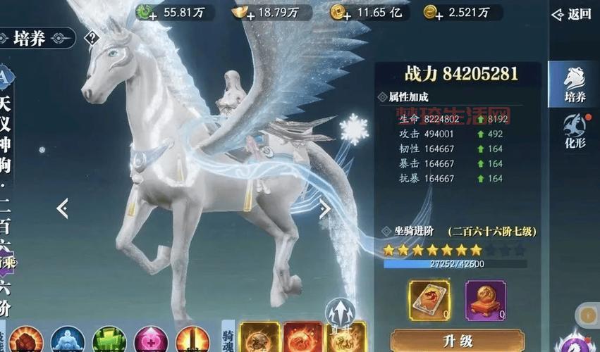 职业坐骑去哪里抓？这些地点让你轻松获得！