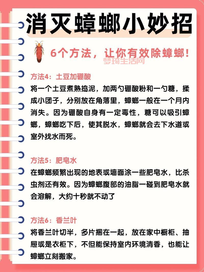 蟑螂是怎么出现在家里的？消灭蟑螂的有效方法！