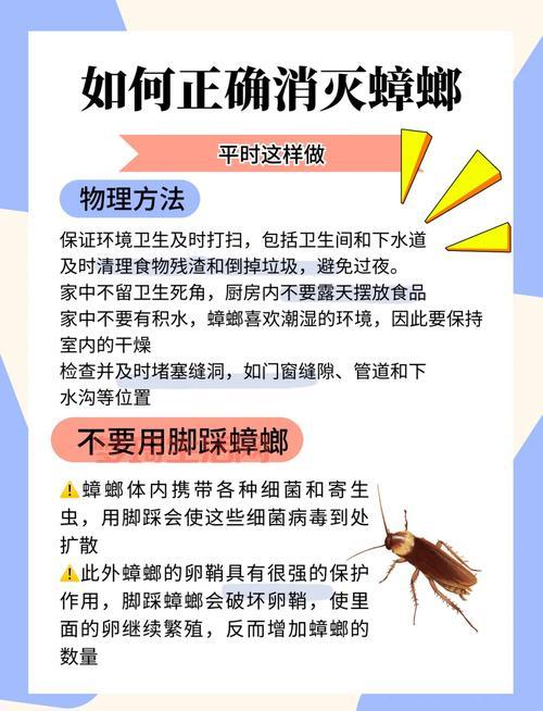 蟑螂是怎么出现在家里的？消灭蟑螂的有效方法！