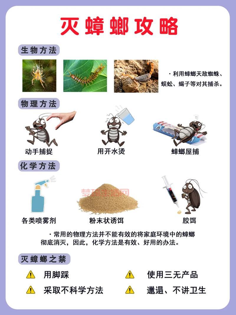 蟑螂是怎么出现在家里的？消灭蟑螂的有效方法！