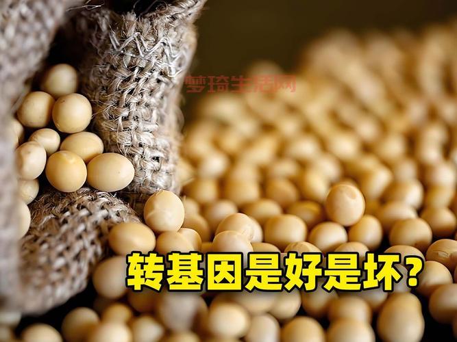 转基因是什么意思？这篇文章用大白话讲清楚了！