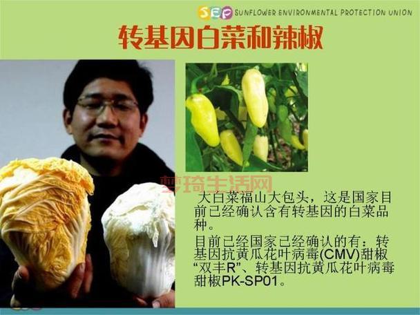转基因是什么意思？这篇文章用大白话讲清楚了！