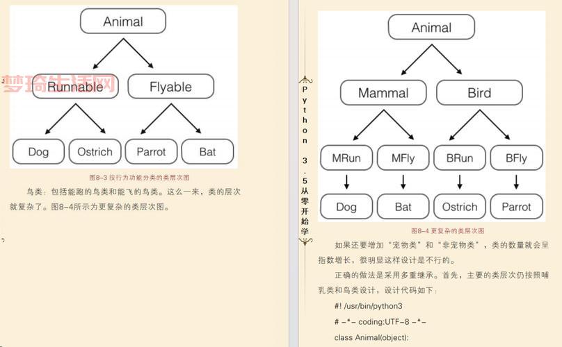 python是什么意思？新手小白一看就懂的入门教程！