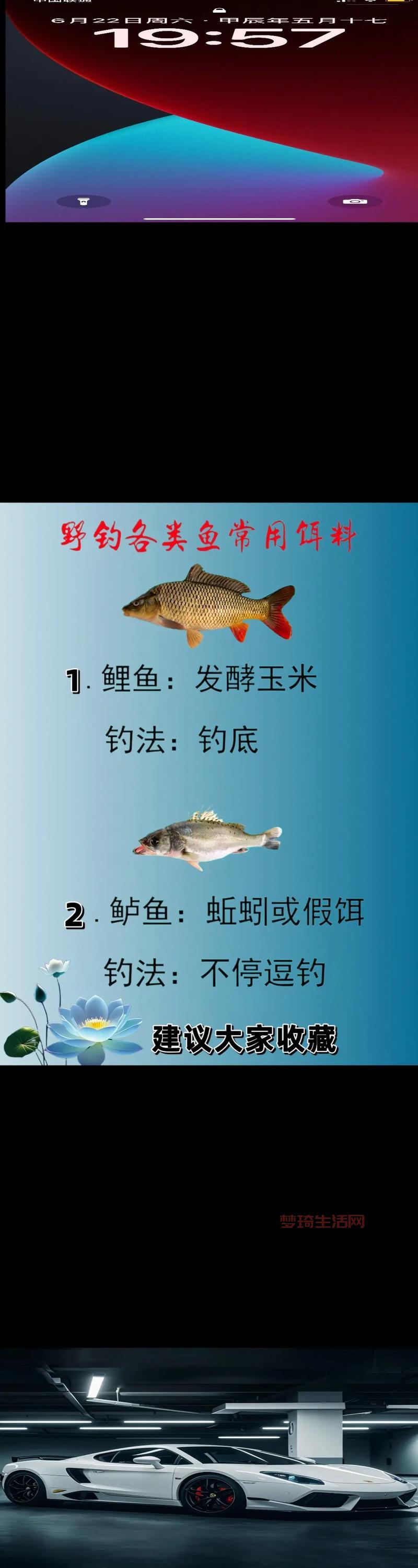 wow钓鱼用什么鱼饵好？不同鱼类对应鱼饵推荐！
