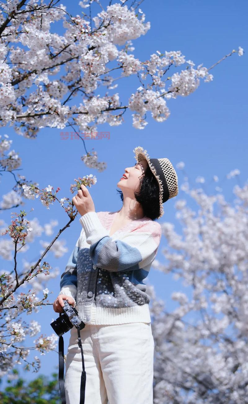 樱吹雪怎么拍才好看？几个小技巧拍出唯美大片！