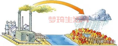 想知道酸雨的主要成分？3分钟带你了解明白！