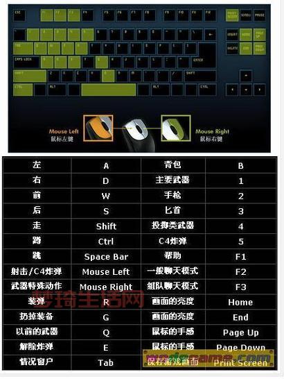 cf官方游戏怎么玩？新手入门攻略看这里！