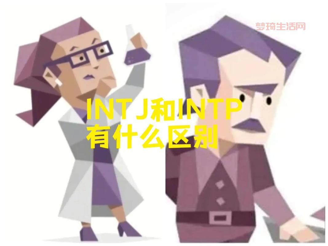 intz和同类软件比哪个好？详细对比分析来了！